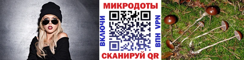 Псилоцибиновые грибы мицелий  Фокино 